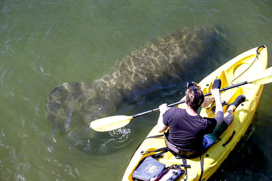 Citrus County Cremations